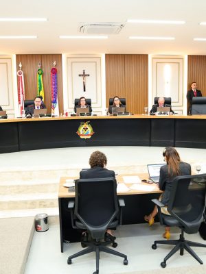 Falhas de transparência em um processo licitatório para aquisição de merenda escolar levaram os conselheiros do Tribunal de Contas do Amazonas (TCE-AM) a julgar procedente uma representação contra a Prefeitura Municipal de Juruá, com aplicação de multa de R$ 13,6 mil ao prefeito José Maria da Rocha Júnior e ao agente de contratação Jean Amaral Serrão.